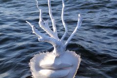 IMG_20200808_171442