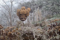 IMG_20201220_124050
