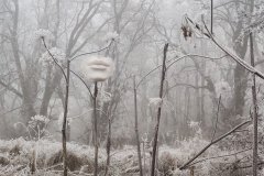 IMG_20201220_145342