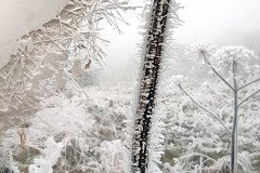 IMG_20201220_150313